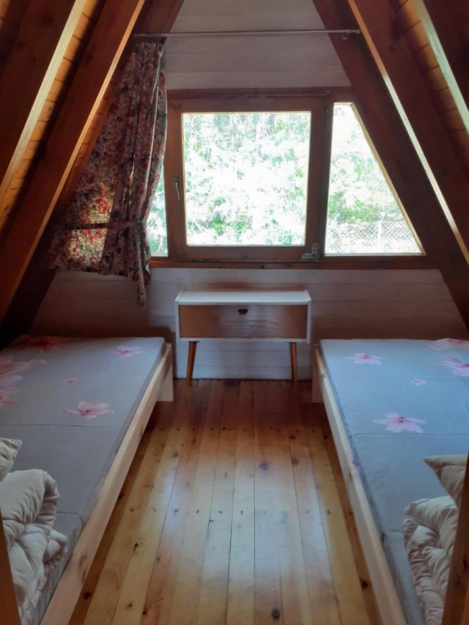 Domki Pod Debami Trzcianka Eksteriør bilde